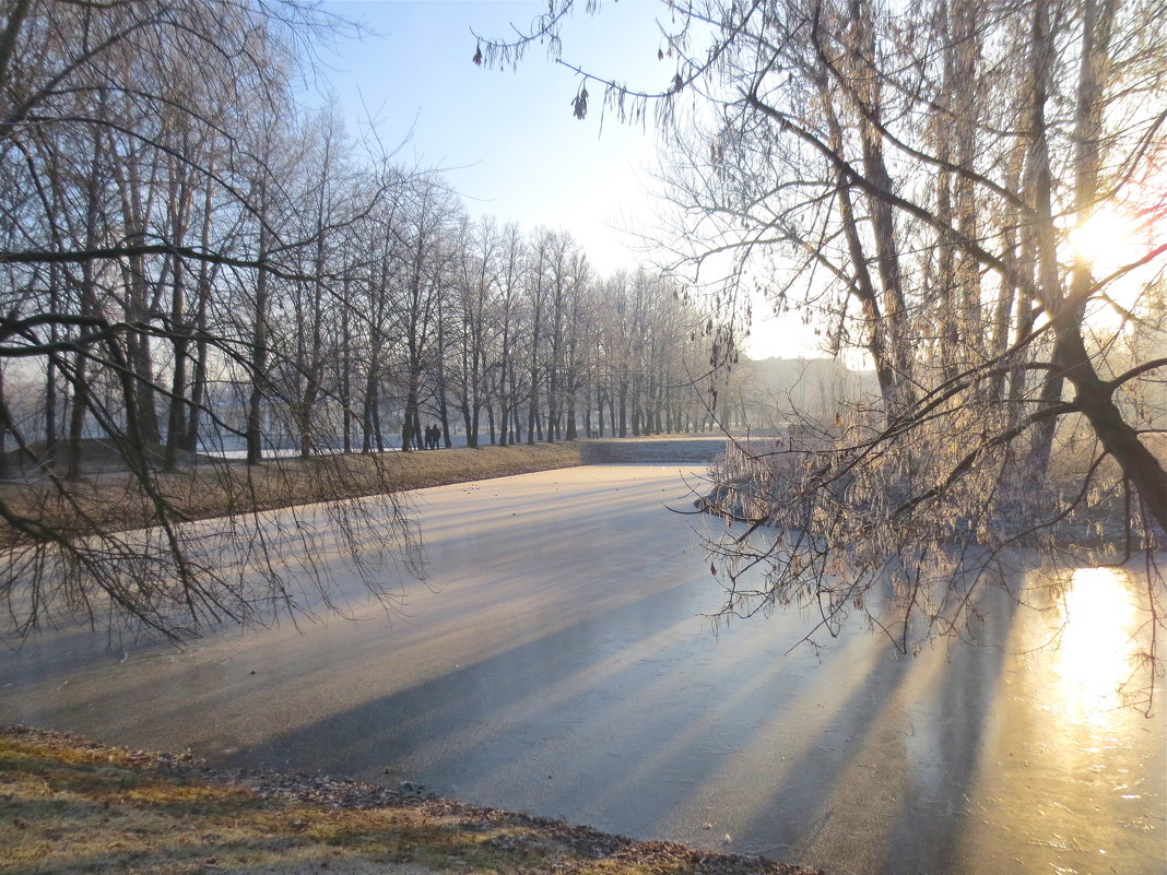 тени на льду - Елена 