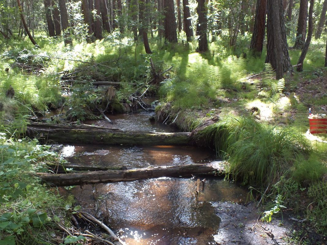 316. Ручей - Александр 316. Ручей - Александр