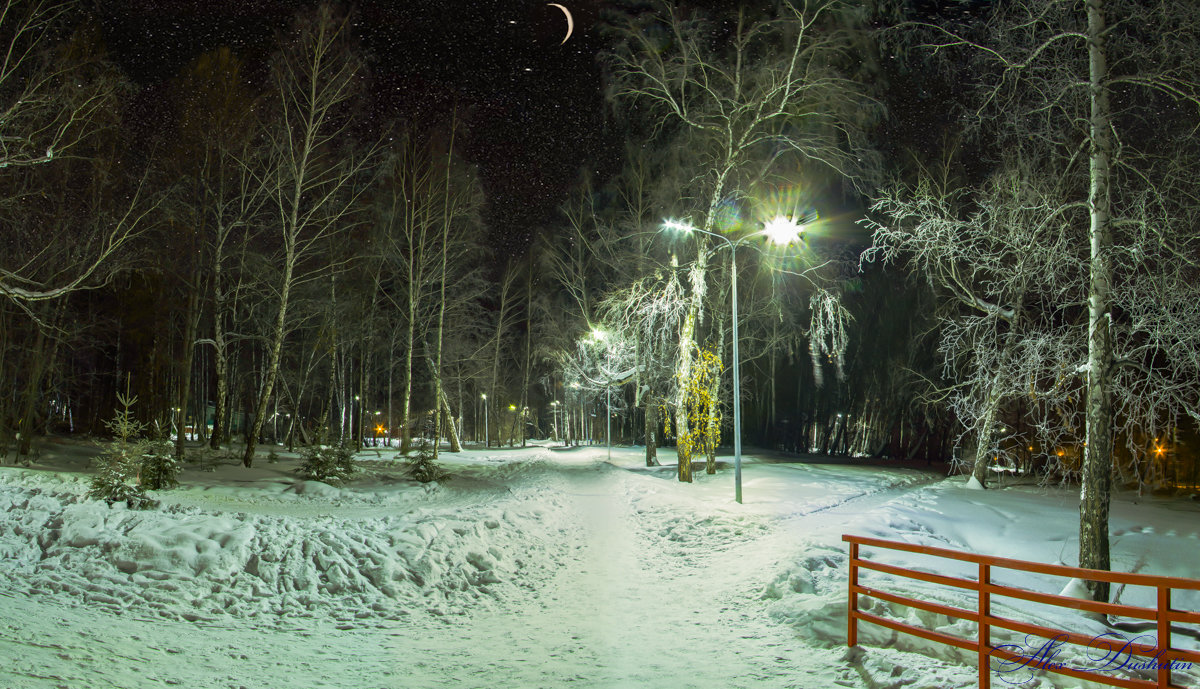 * - Alex Dushutin * - Alex Dushutin