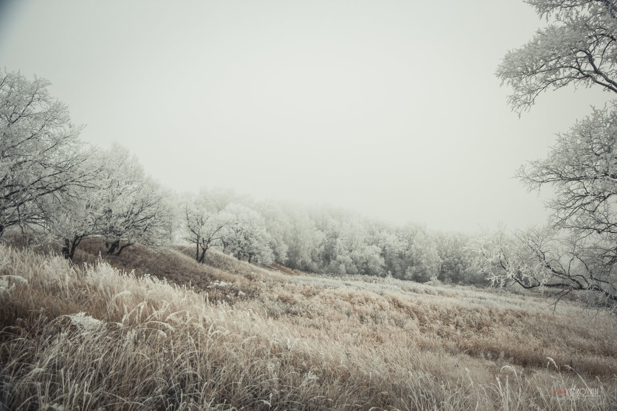 Белым бело - Roman Korovkin