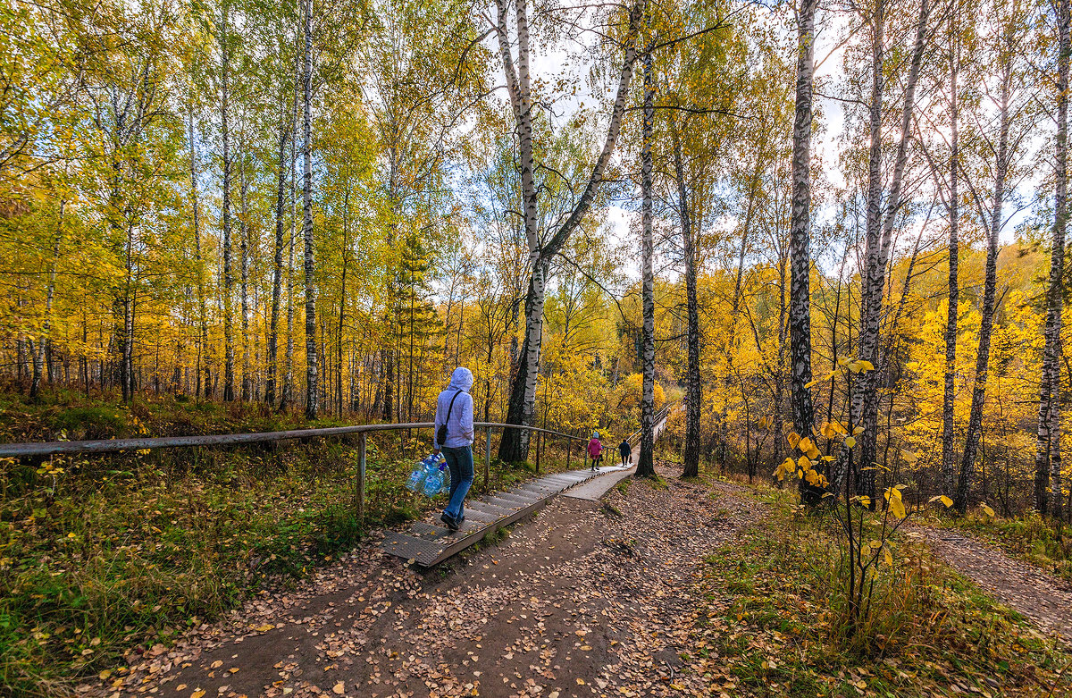 Осенняя дорога на дачу. 29.09.2012. Canon EOS 5D Mark II, Sigma 12-24mm. - Vadim Piottukh 