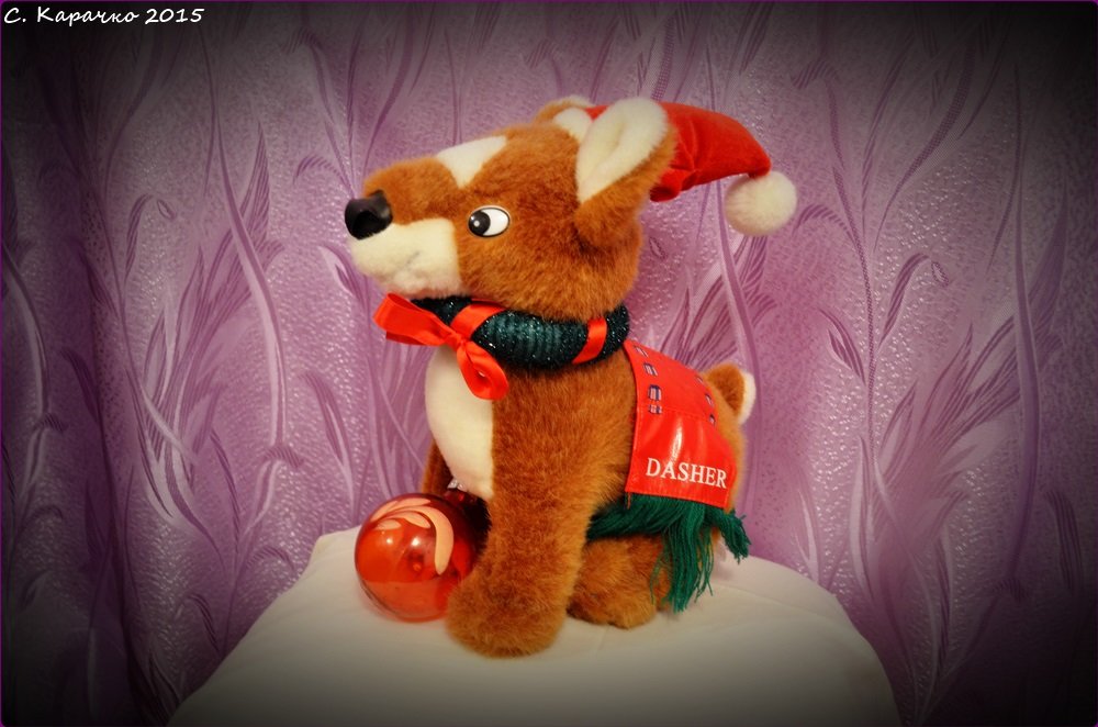 +++ - Степан Карачко