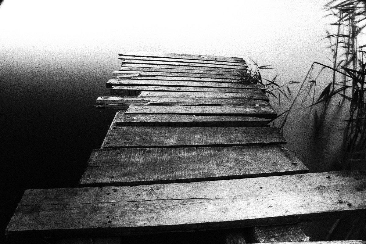 *** - Игорь Крюк