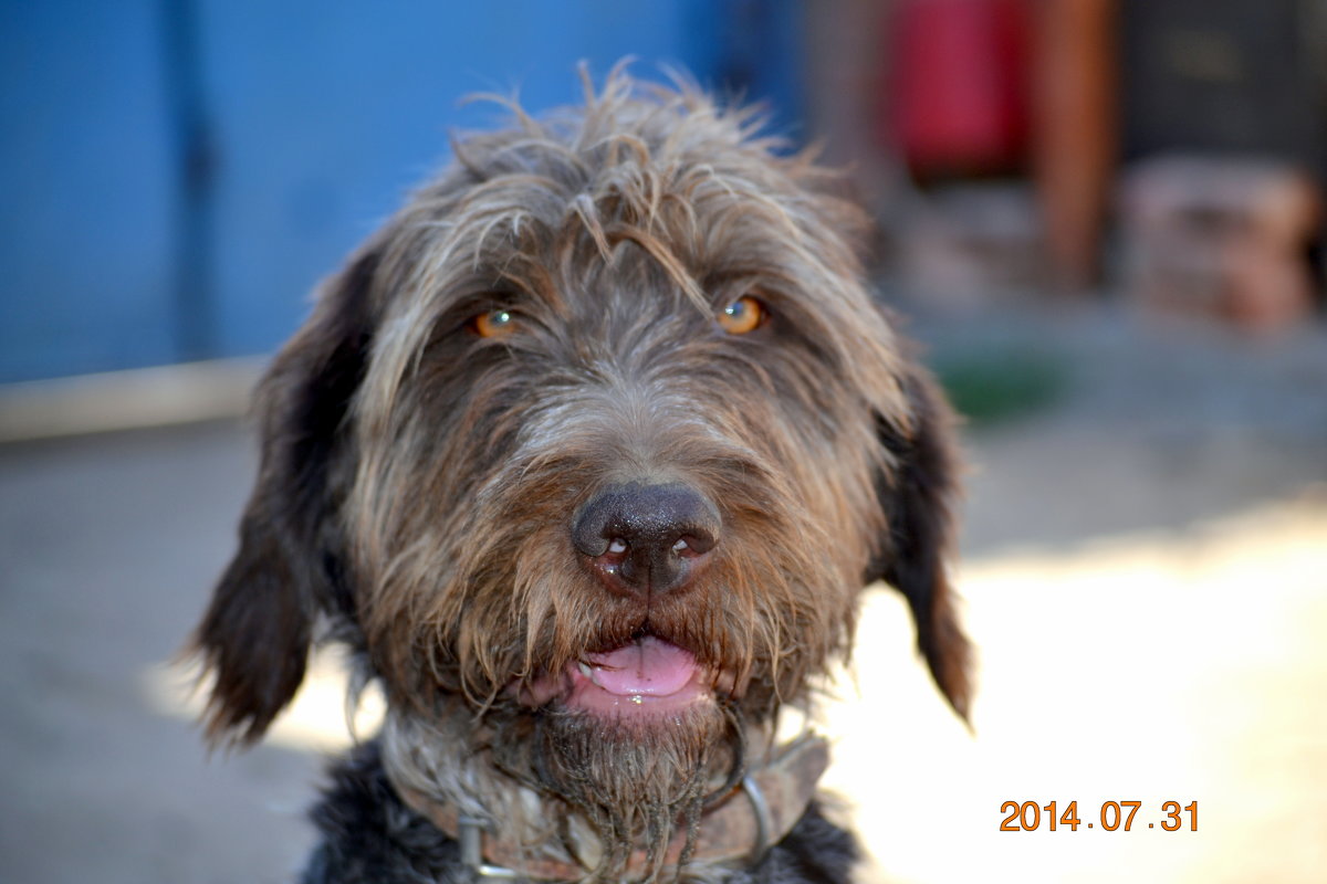 уже завтра - мирошников михаил 