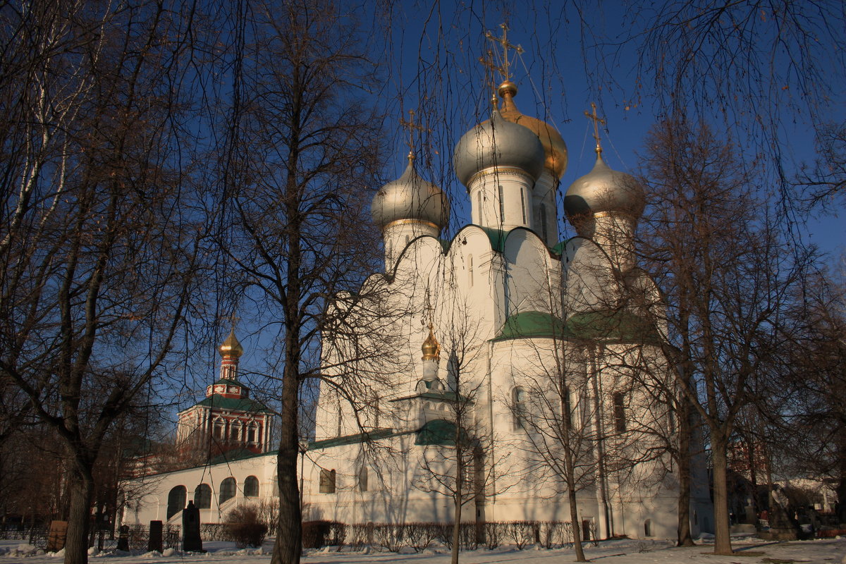 Купола. Москва. Новодевичий монастырь. - Надежда Баликова