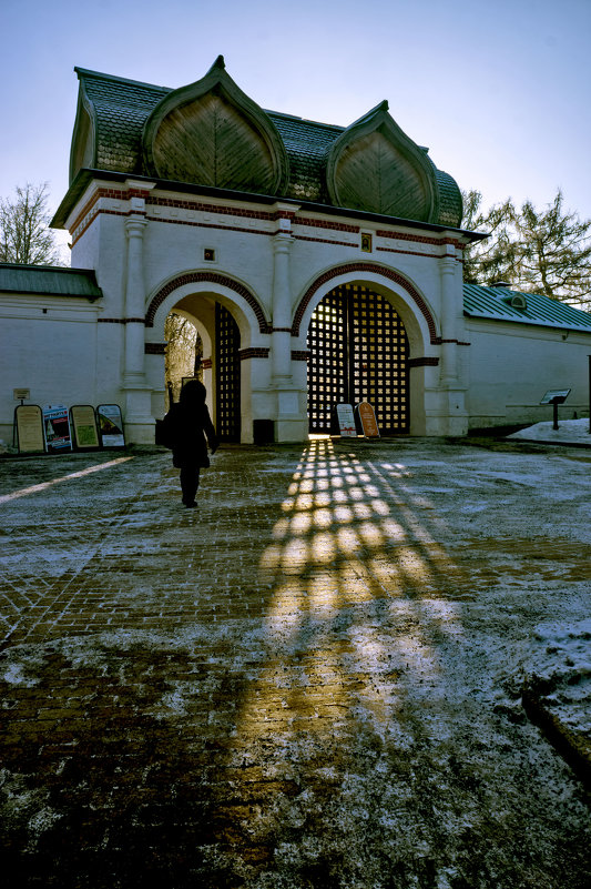 На прогулку - Ольга Маркова