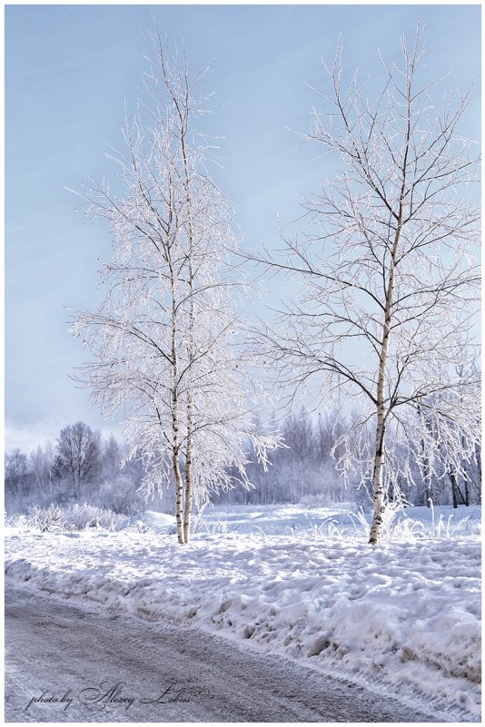 Сказка февраля - Алексей Лобус