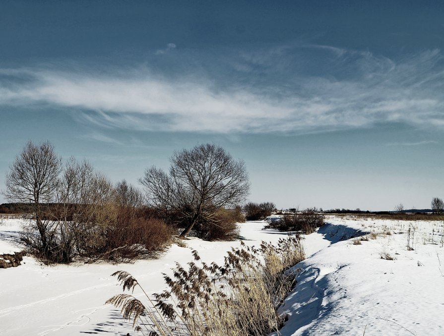 ((( - ольга кривашеева ((( - ольга кривашеева