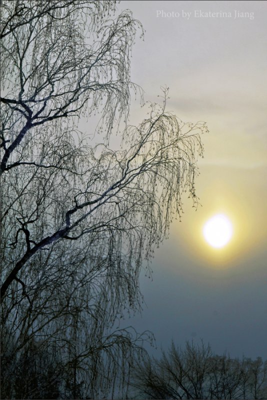 Дотянуться до капельки солнца. - Екатерина Цзян Дотянуться до капельки солнца. - Екатерина Цзян