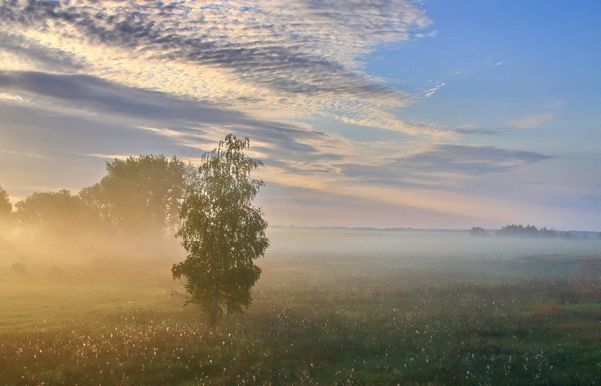 Утро туманное... - Сергей Сёмин Утро туманное... - Сергей Сёмин