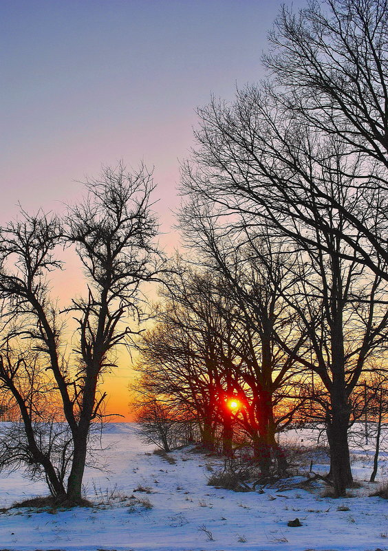 Зимний вечер. - Валера39 Василевский. Зимний вечер. - Валера39 Василевский.