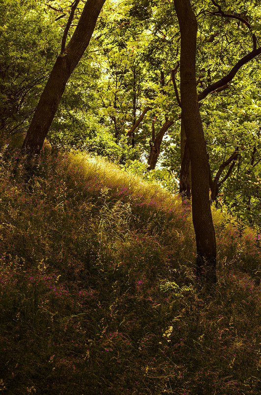 ))) - Виктор ))) - Виктор