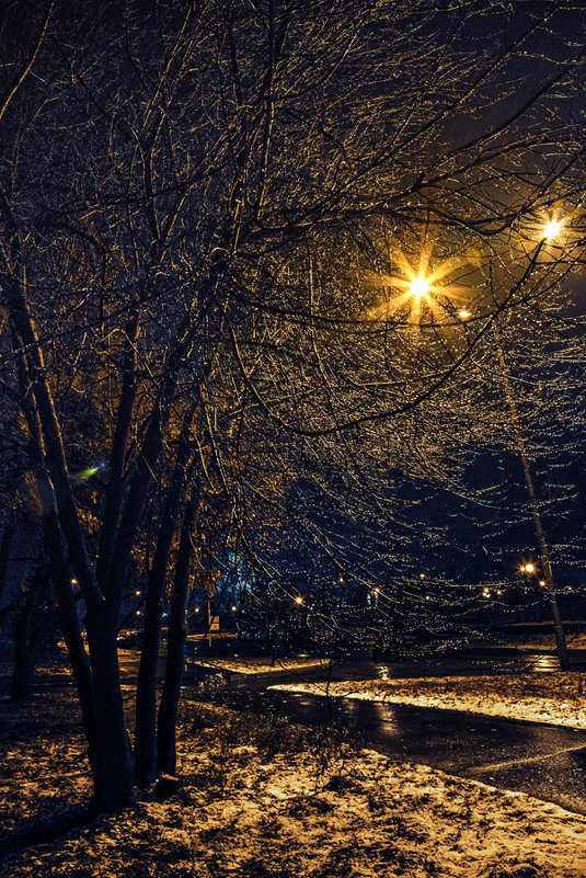 * - Игорь Мухамадеев