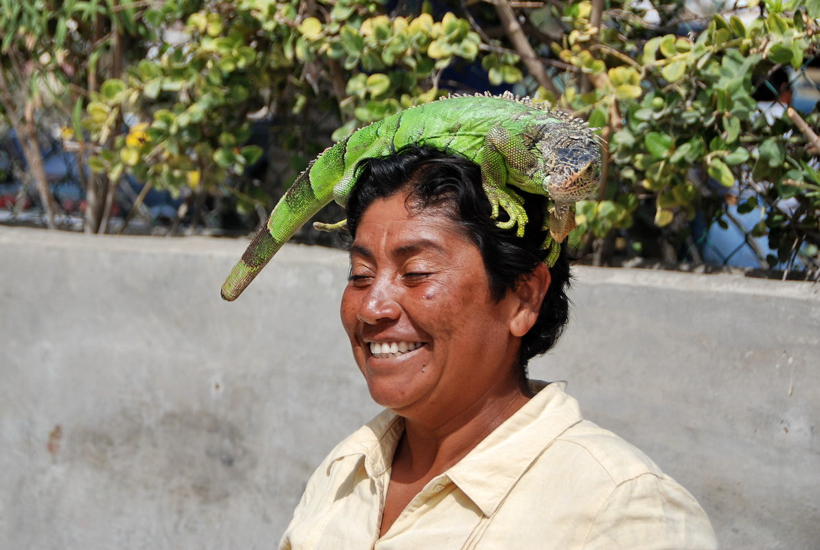 Укротительница ягуаны - Николай Танаев Укротительница ягуаны - Николай Танаев