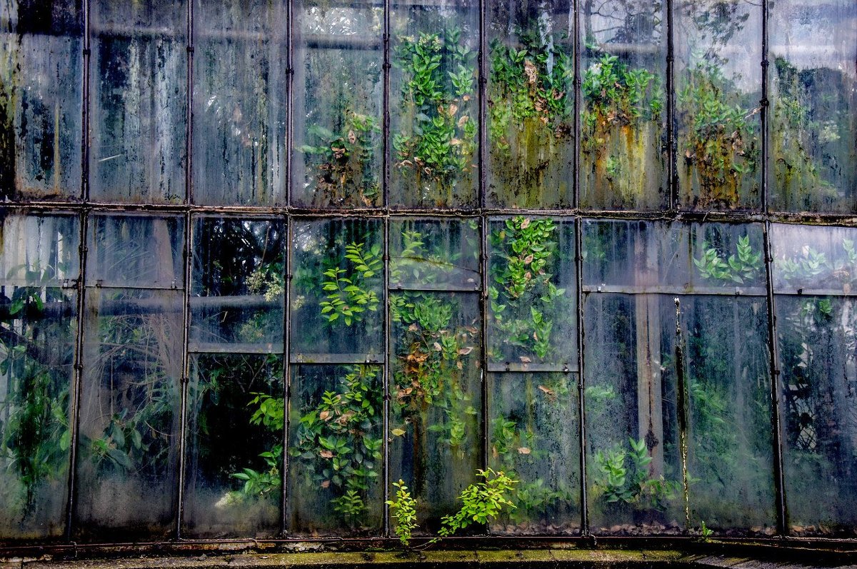 Заточение - Катерина Попович