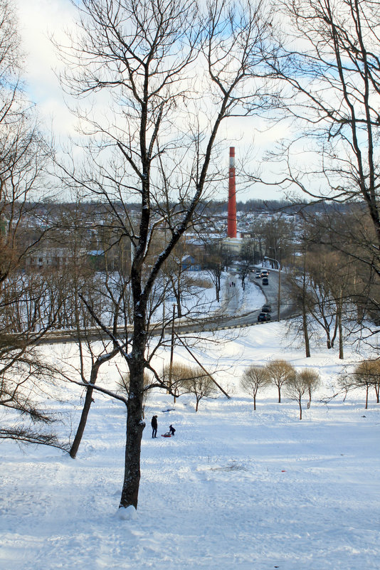 В парке "Красное Село" - Алла Aпшиник