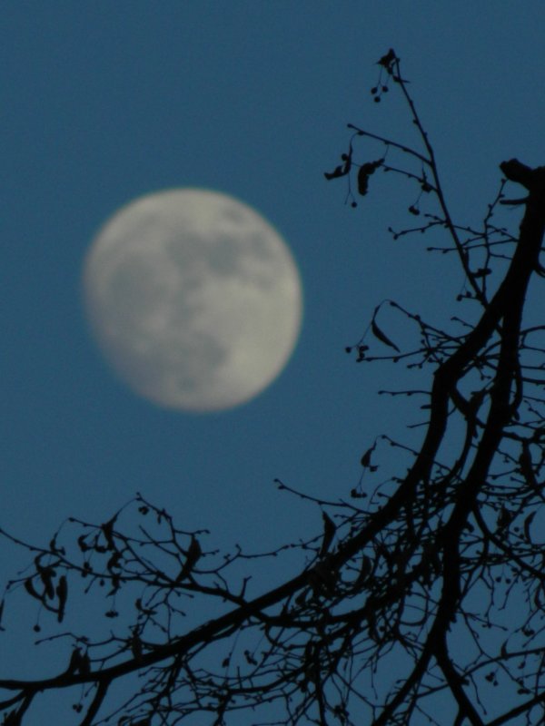 Лунность - Lina Liber