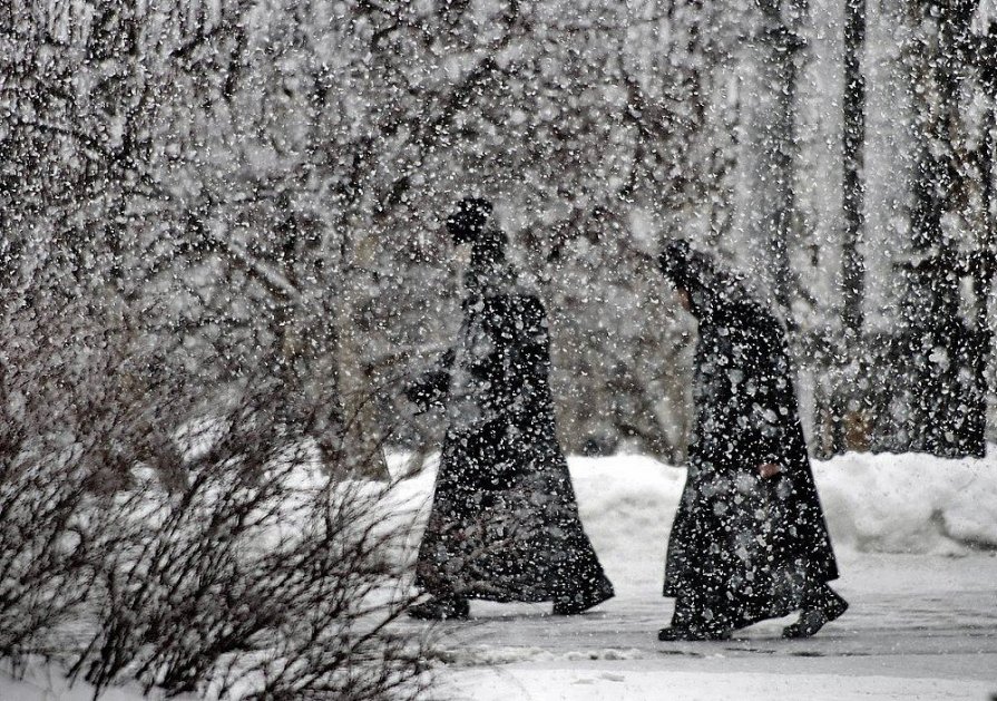 За снежной пеленой... - Игорь Суханов