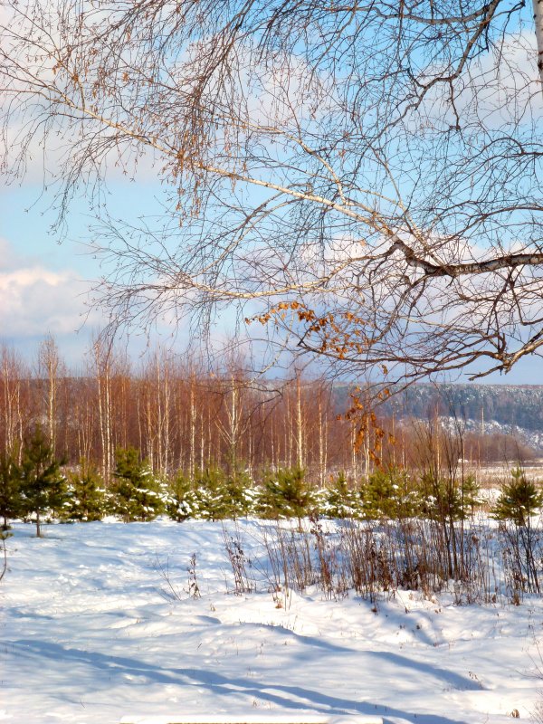 мороз и солнце; день чудесный - Лана Lana мороз и солнце; день чудесный - Лана Lana