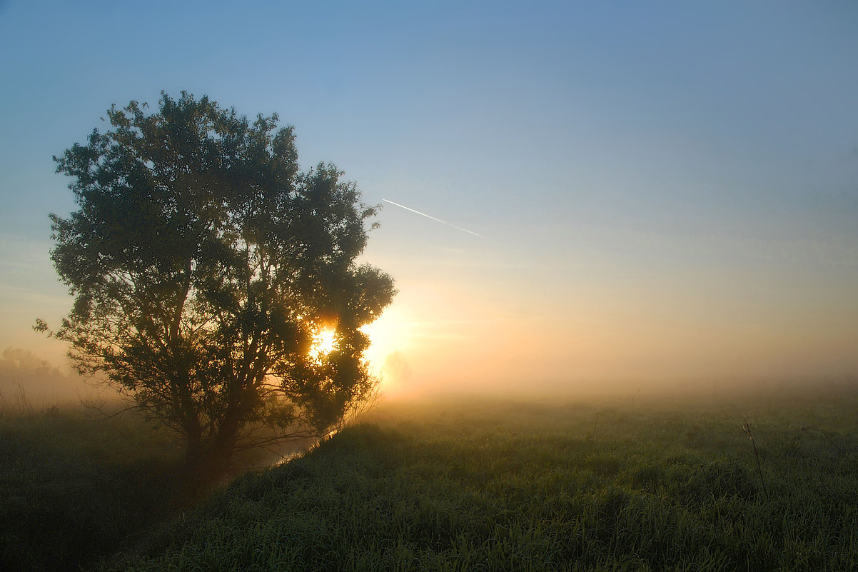 Майское утро - sergej-smv 