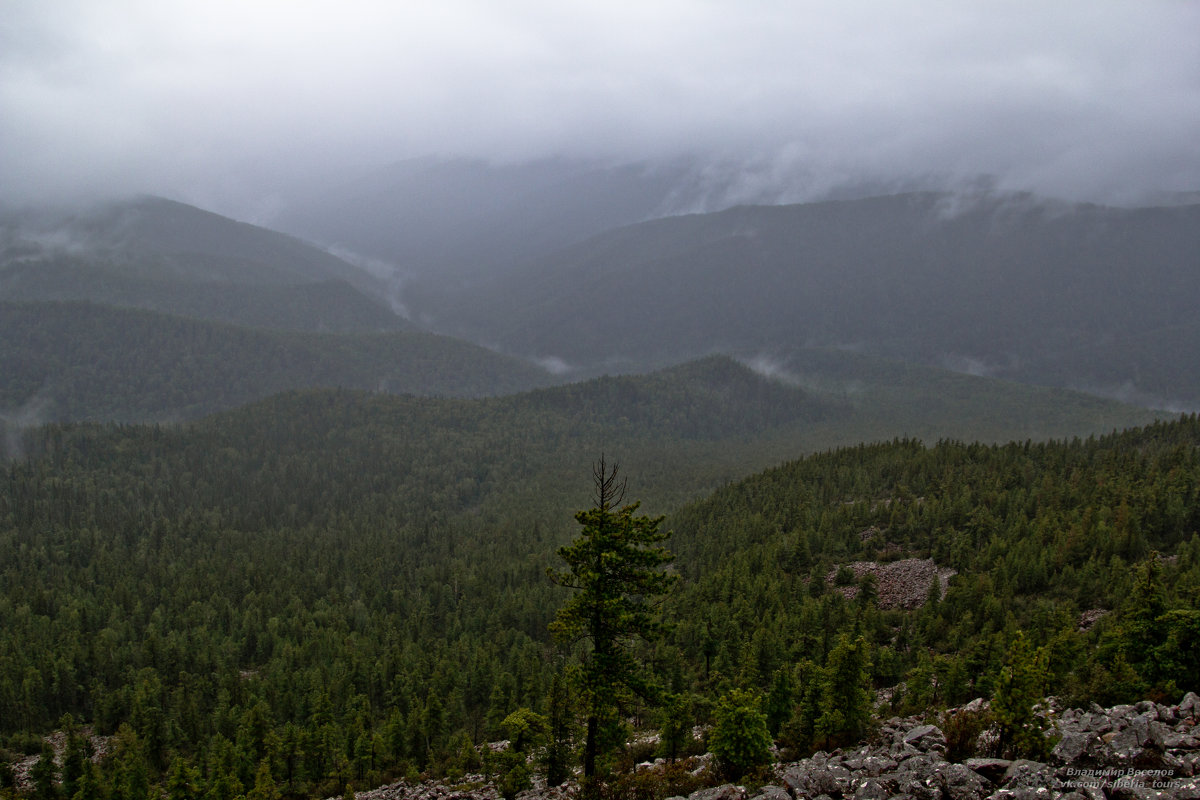 Саяны в тумане - Владимир Веселов