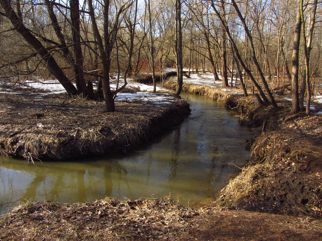 Img_3035 - Есть подозрение, что Весна - Андрей Лукьянов Img_3035 - Есть подозрение, что Весна - Андрей Лукьянов