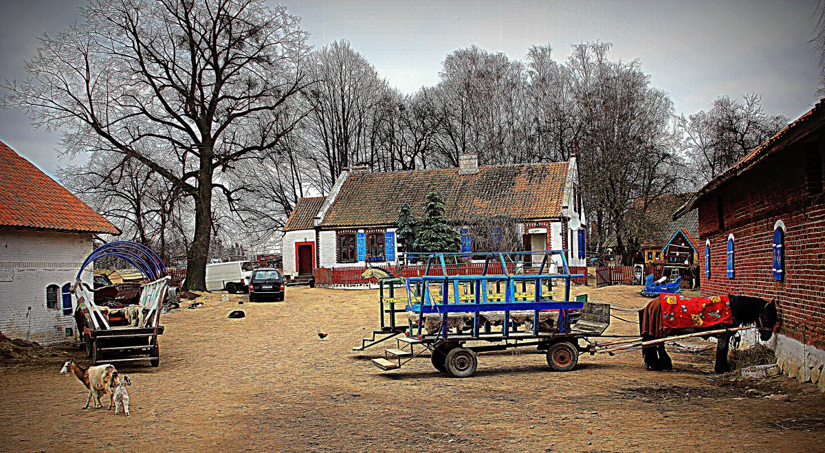 сельский двор - Ольга сельский двор - Ольга