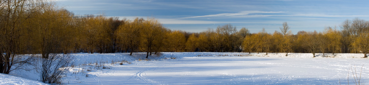 В ожидании весны - Яков Реймер
