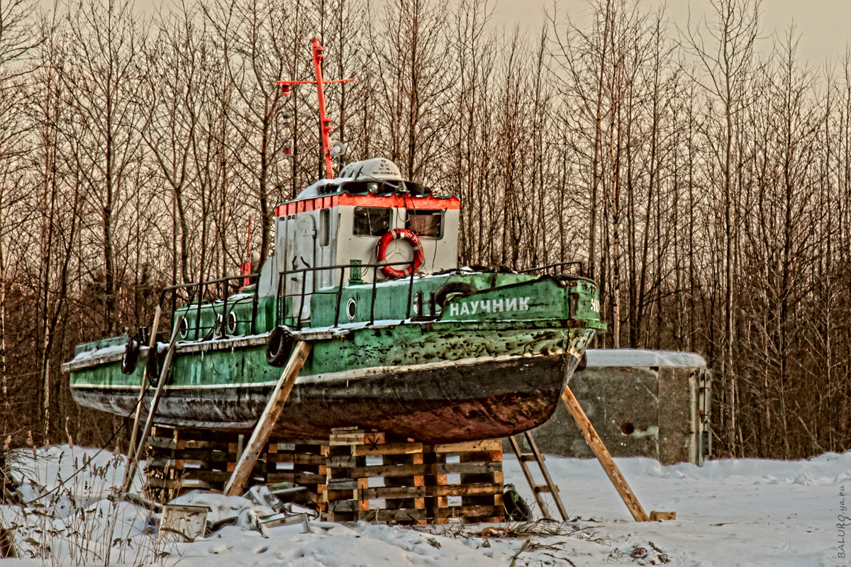 Научник - Владимир Балюко