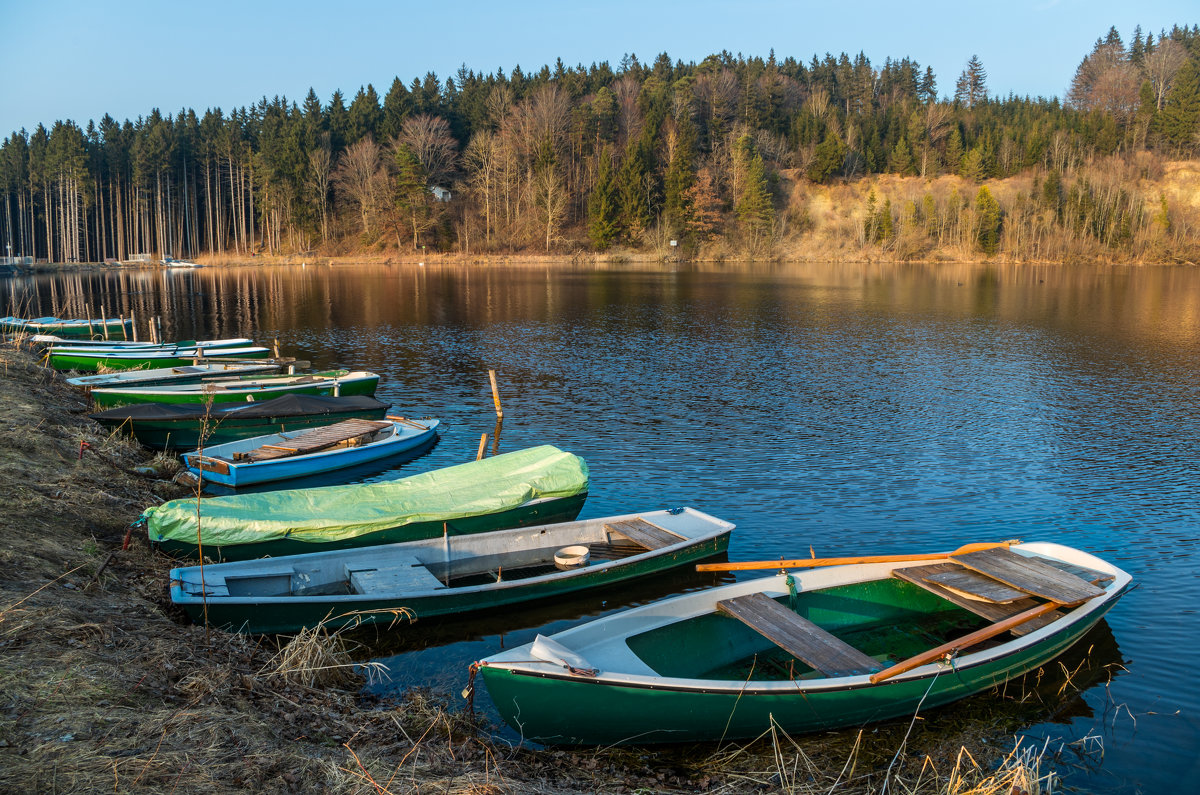 Bachtelsee - Vladimir Urbanovych