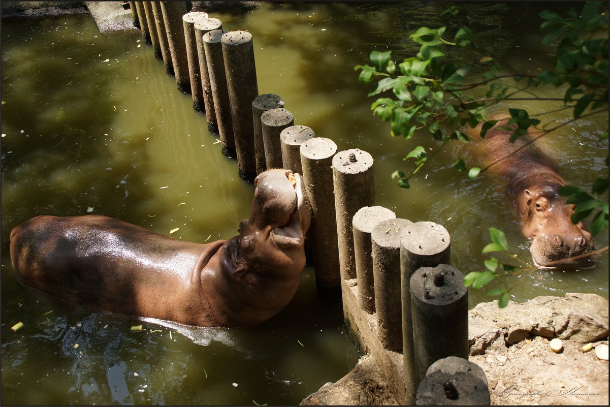 "Я тоскую..." - Наталия Григорьева "Я тоскую..." - Наталия Григорьева