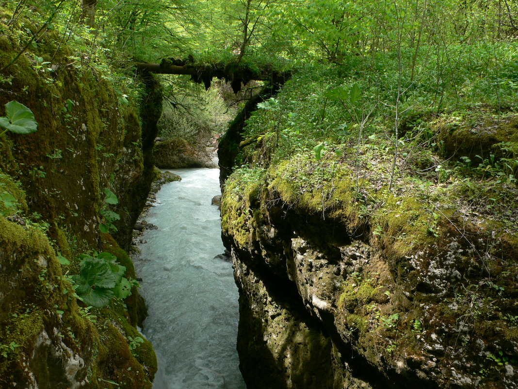 (Ахтин т1ай) «Ахти мост» - на юге Беноя в глубоко лесах. - Beno 