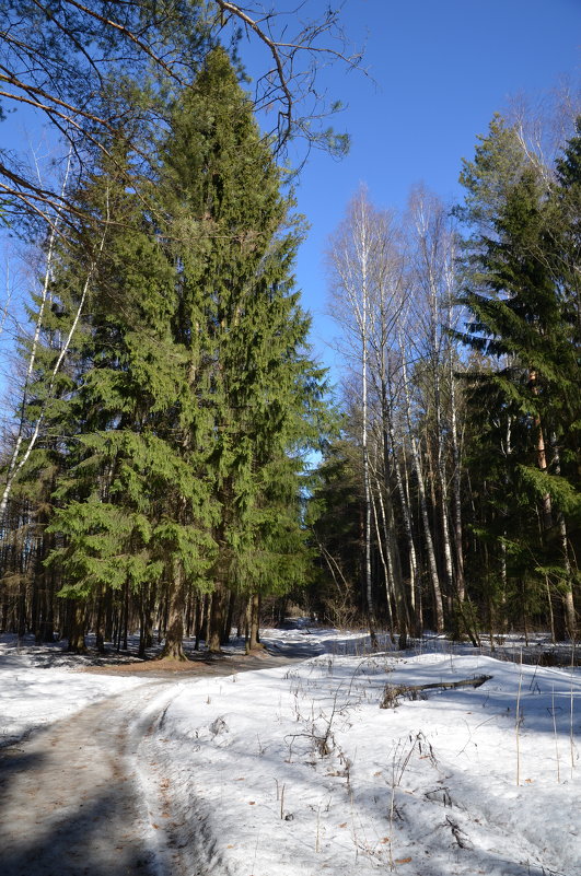 *** - Сергей Б