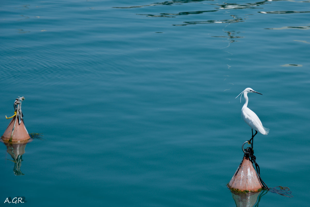 *** - Александр Григорьев *** - Александр Григорьев