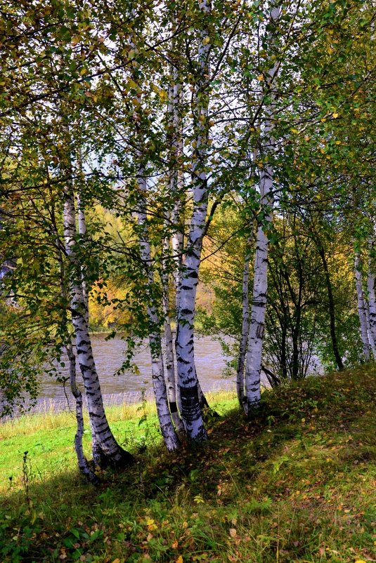 Подружки - Татьяна Захарова