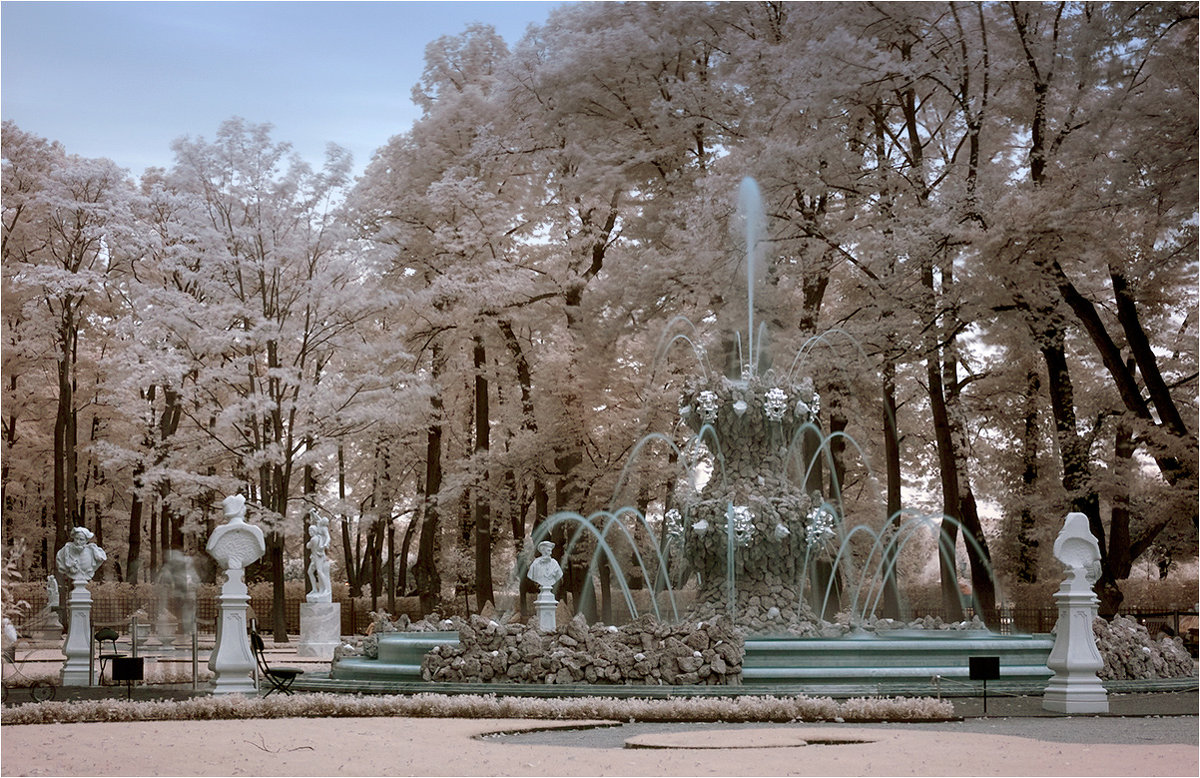 В летнем саду - Наталья Алешина