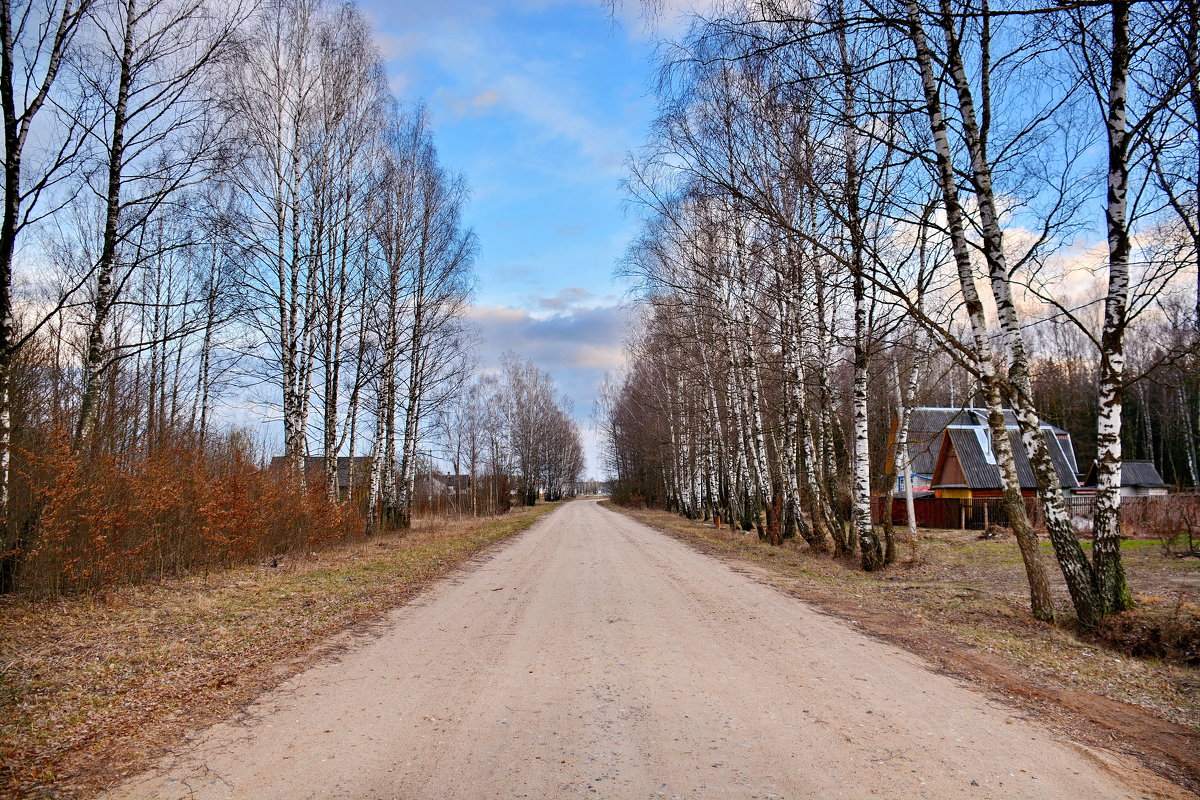 В  деревню  Коссе. - Валера39 Василевский.