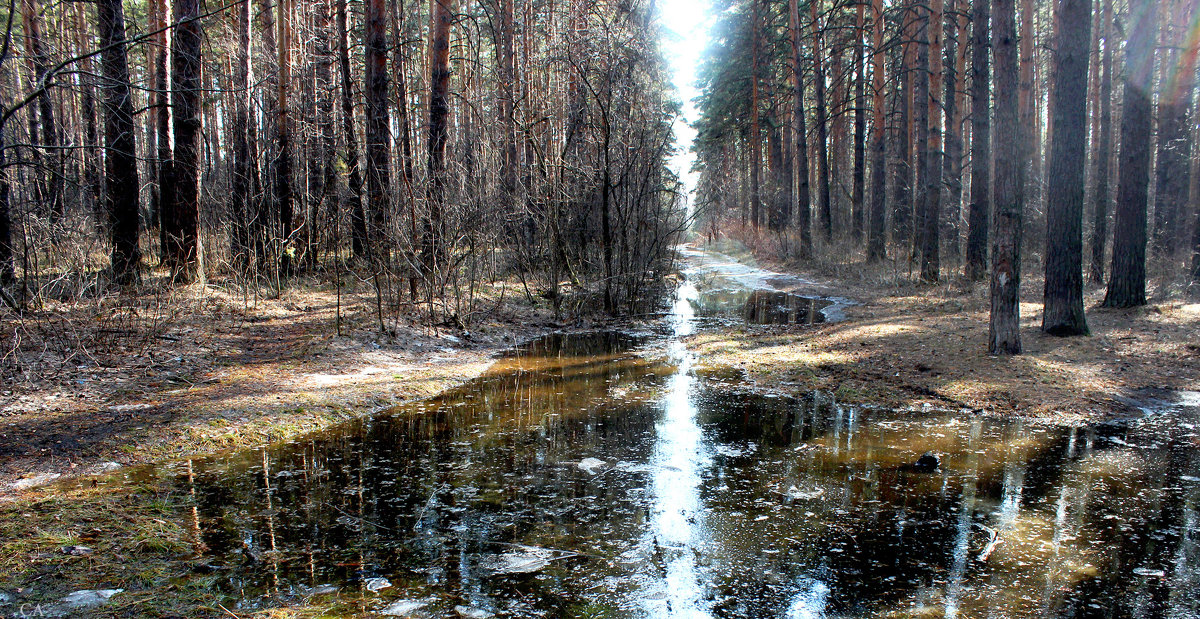 Море разливанное - Александр Садовский