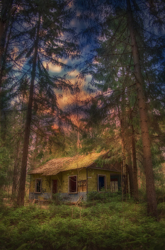 ... - Наталья Золотарева ... - Наталья Золотарева