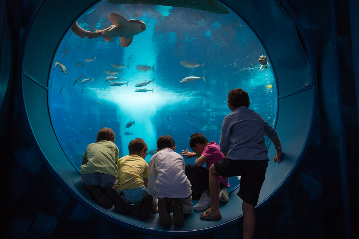 мальчиши - Victoria Shashirina мальчиши - Victoria Shashirina