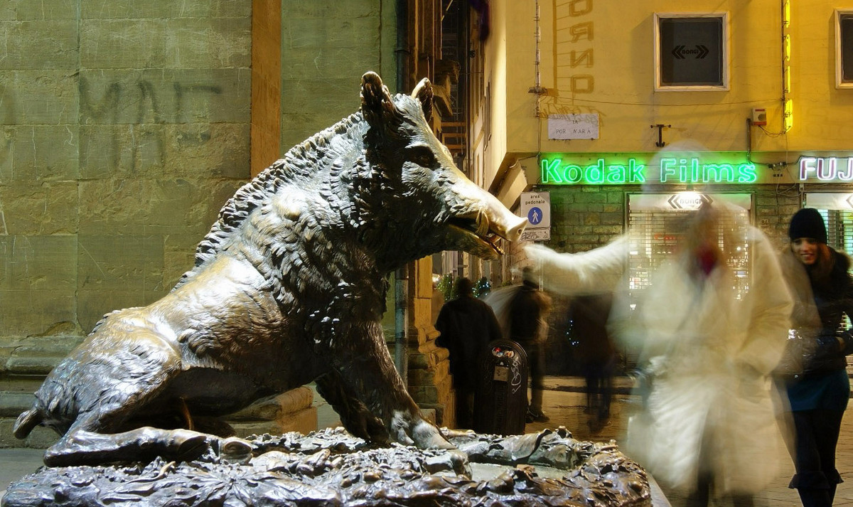 Fontana del Porcellino, FIRENZE - ira mashura