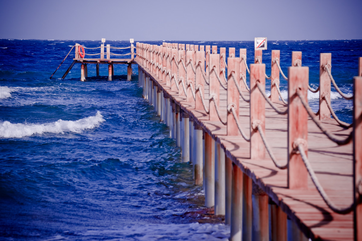 *** - Ксения Хмелевская