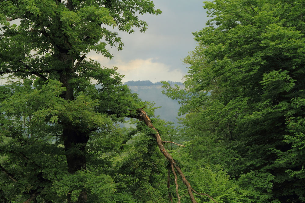 В горах - Weskym Markova