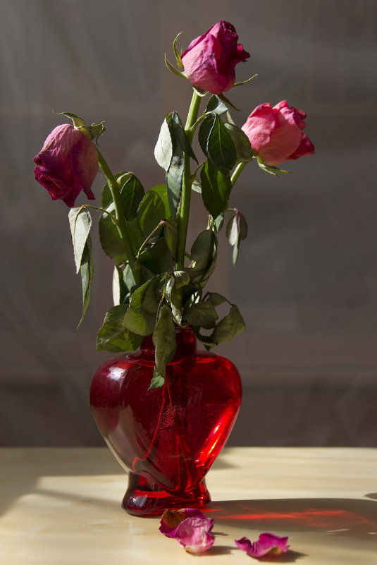 О краткосрочности жизни - Татьяна Копосова О краткосрочности жизни - Татьяна Копосова