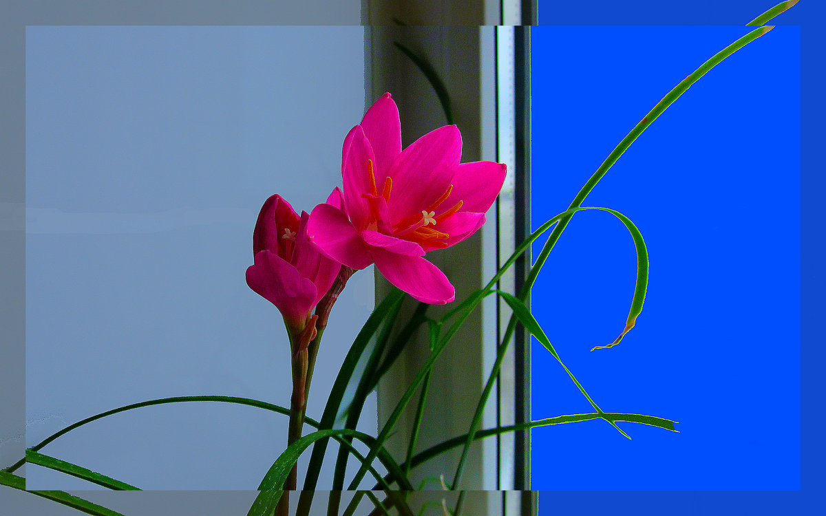 У окна - Владимир Хатмулин