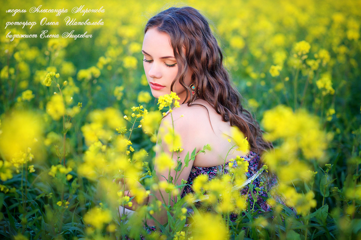 В сурепковом поле - Олеся Шаповалова В сурепковом поле - Олеся Шаповалова