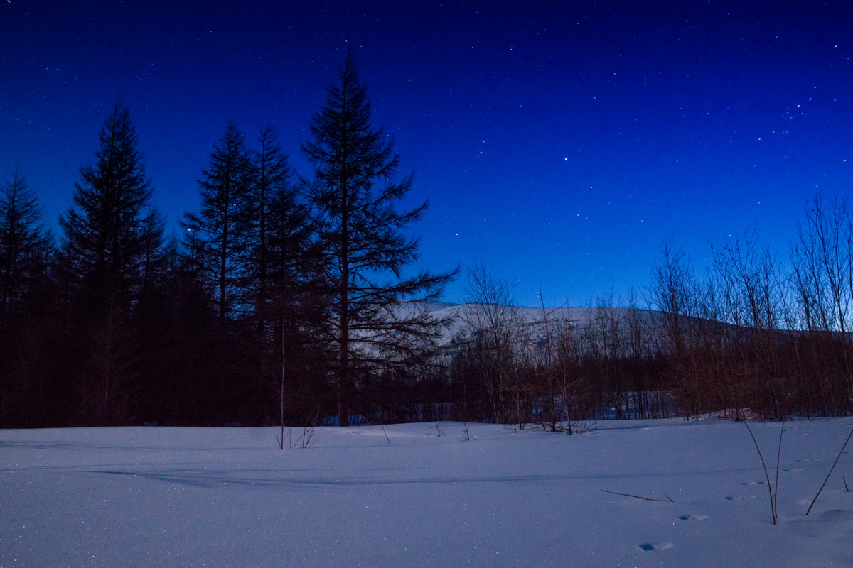 Полночь. - Юрий Харченко Полночь. - Юрий Харченко
