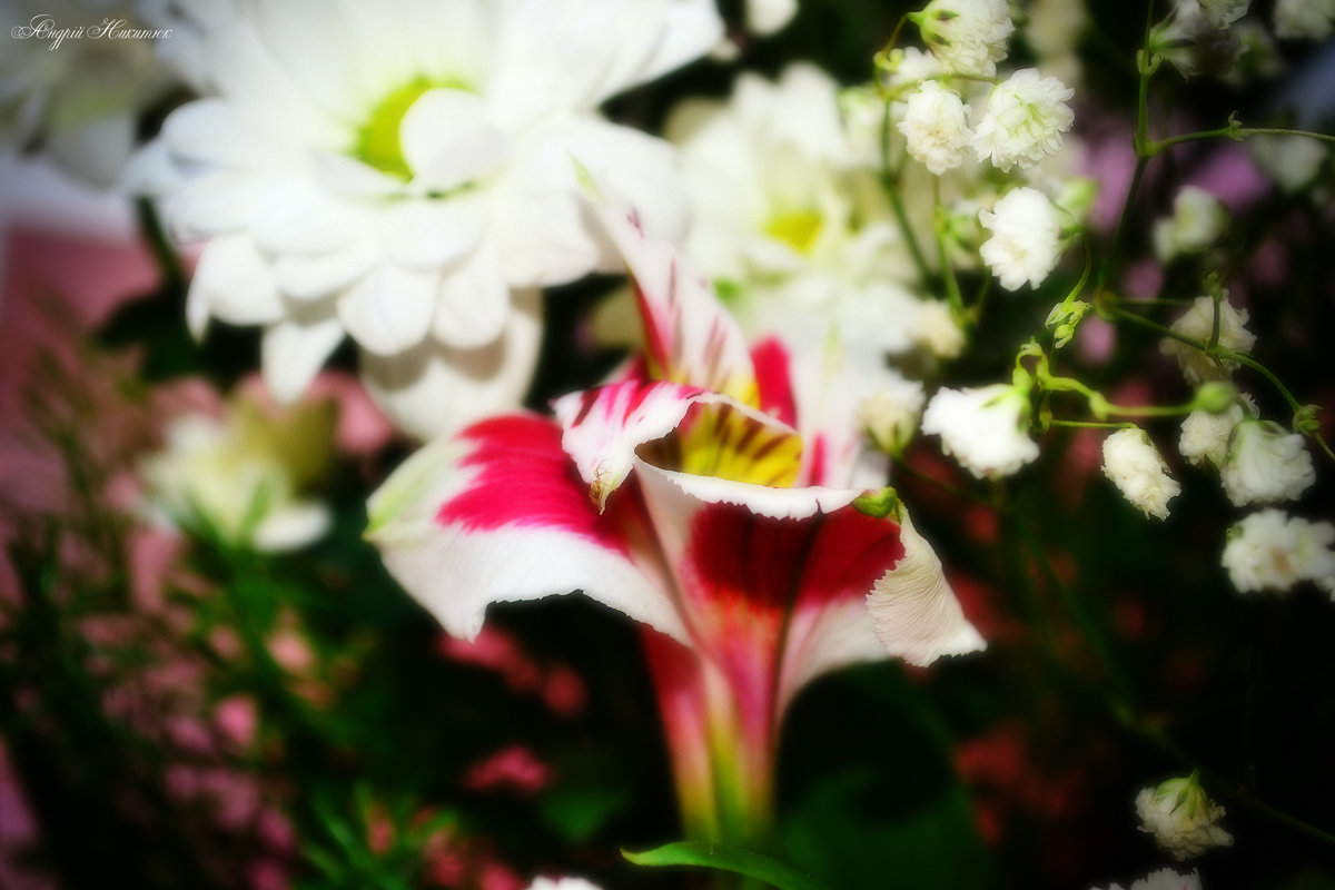 *** - Андрій Никитюк