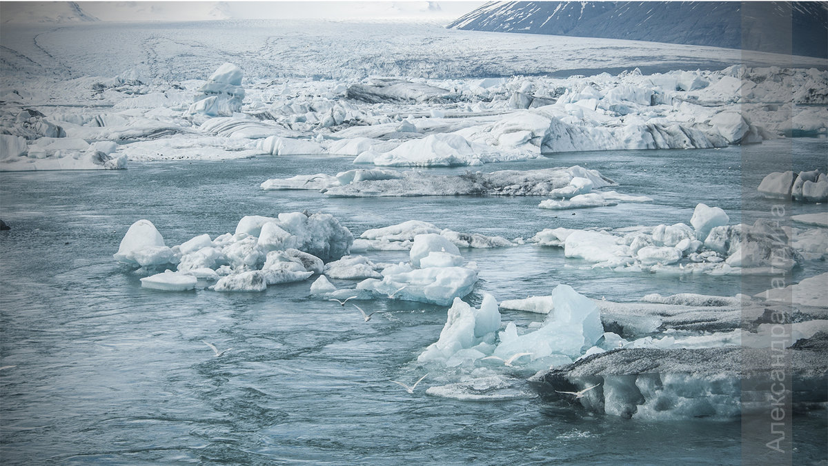 Glacier lagoon - Александра Галдина