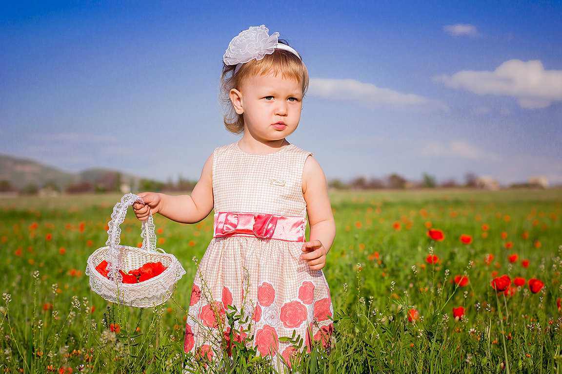 Собираем маки - Светлана Ленева